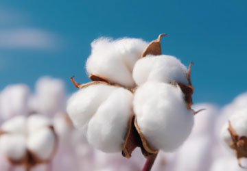 8 Ways to Improve Wet Rub Fastness